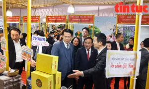 Lần đầu tiên Hanoi Agriculture Fair 2023 tổ chức tại Hải Phòng