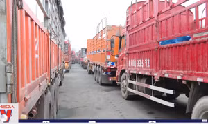 Hàng nghìn xe container mắc kẹt ở cửa khẩu Kim Thành - Lào Cai