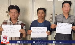 Bắt 3 đối tượng ‘hỗn chiến’ tại Đầm Sen