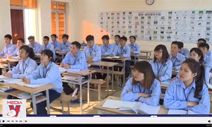 Hai thị trường lao động lương cao thu hút nhiều người Việt Nam
