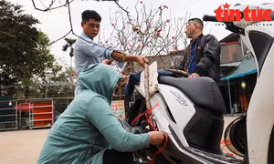 Đào Nhật Tân xuống phố, giá bạc triệu vẫn hút người chơi