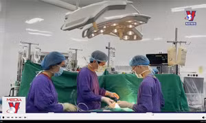 Khi sự sống được hồi sinh