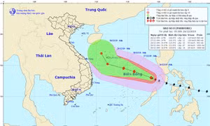 Thời tiết ngày 26/12: Tin về cơn bão số 8, Bắc Bộ và Trung Bộ trời rét, vùng núi rét đậm, rét hại