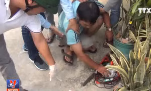 Bắt đường dây sắp tung lượng lớn ma túy ra thị trường dịp Tết