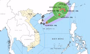 Thời tiết ngày 1/9: Áp thấp nhiệt đới đã mạnh lên thành bão – bão số 5 trong năm 2026