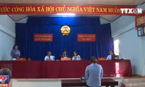Bảo mẫu nhóm trẻ Mẹ Mười hành hạ dã man trẻ em nhận án 2 năm tù