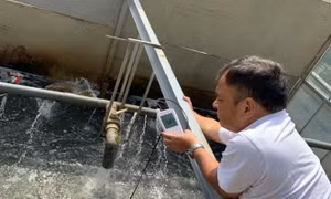 Nước sông Tô Lịch trong nhìn thấy đáy nhờ công nghệ Nhật Bản