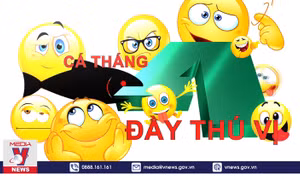 Cá tháng tư – nguồn gốc và ý nghĩa đầy đủ thú vị bạn nên biết