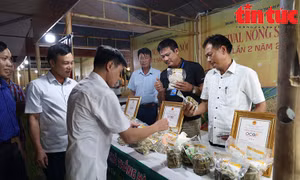 Kết nối sản phẩm OCOP đến người tiêu dùng Thủ đô