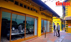 Cận cảnh 3 chiếc xe từng phục vụ Chủ tịch Hồ Chí Minh, sắp được công nhận Bảo vật Quốc giaa