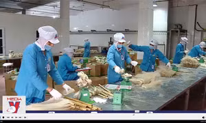 Hỗ trợ doanh nghiệp phục hồi và thúc đẩy tăng trưởng