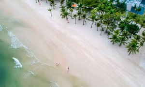 Lượng khách đặt tour Tết Nguyên đán Kỷ Hợi tăng đột biến
