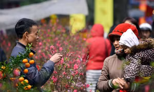 Thời tiết ngày 29/1: Không khí lạnh suy yếu, miền Bắc nắng ấm