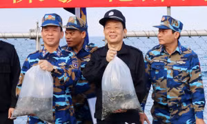 Lực lượng cảnh sát biển Việt Nam – Trung Quốc thả cá giống trên biển