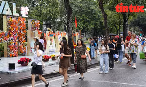 50.000 lượt khách tham quan Festival Thu Hà Nội 2024