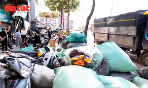 Nghĩa tình người Hà Nội tiếp sức đồng bào vùng lũ
