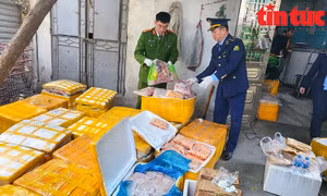 Công an quận Bắc Từ Liêm thu giữ trên 1 tấn tràng trứng, chân gà, nầm lợn… bẩn