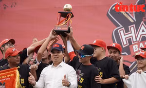 Đội Hanoi 29ers vô địch giải bóng chày Hà Nội 2023