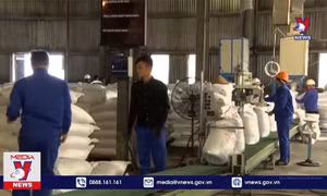 Đường lậu giá rẻ 'tấn công' đường trong nước
