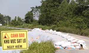 Sụt lún nghiêm trọng tại nhiều điểm đê ở Hà Nội