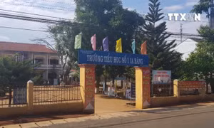 Xử lý Chủ tịch HĐND xã Ia Băng (Gia Lai) vào trường đánh học sinh