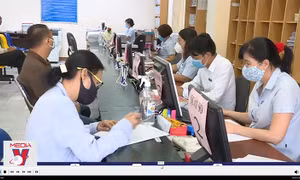 Rà soát hồ sơ khởi tố trốn đóng bảo hiểm xã hội