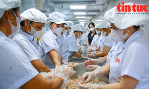 Cận cảnh dây chuyền sản xuất bánh Trung thu truyền thống hút khách tại Hà Nội