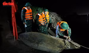 Hà Nội: Xử lý an toàn hai quả bom nặng hơn 1,3 tấn gần cầu Long Biên