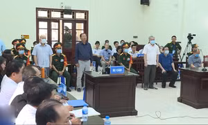 Tuyên án vụ vi phạm các quy định về quản lý đất đai tại Quân chủng Hải Quân