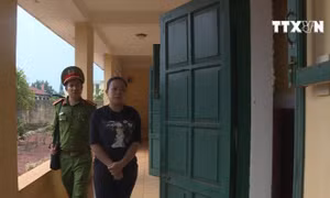 Đắk Nông khởi tố đối tượng lừa đảo hàng chục tỷ đồng