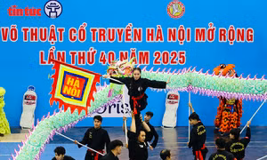 Khai mạc Giải Võ thuật cổ truyền Hà Nội mở rộng 2025