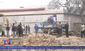 Chặt hạ hai cây sưa giá hàng trăm tỷ đồng ở Hà Nội