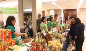 Tăng cường lòng tin với rau an toàn cho người tiêu dùng