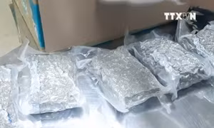 Thu giữ 2,3 kg ma túy gửi từ Mỹ về Việt Nam