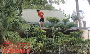 Đời sống người dân vùng ngập Chương Mỹ dần ổn định
