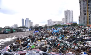  ‘Rác thải sinh hoạt chất thành núi’ hôi thối tại quận Cầu Giấy