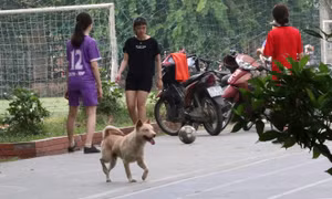 Thiếu khu vui chơi an toàn cho trẻ em tại các khu nhà cao tầng Hà Nội