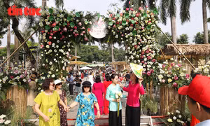 Lễ hội Sen Hà Nội 2026 thu hút đông đảo người dân dịp cuối tuần