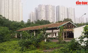 Chợ mới xây bỏ hoang, chợ cóc đông đúc
