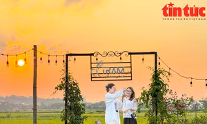 Quán cà phê giữa cánh đồng lúa ở ngoại ô Hà Nội dịp cuối tuần