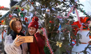 Giảm tới 50% giá vé cáp treo Fansipan trong Lễ hội mùa đông