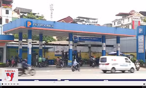 Còn 96.000 tỷ đồng hạn mức tín dụng cho 34 doanh nghiệp xăng dầu