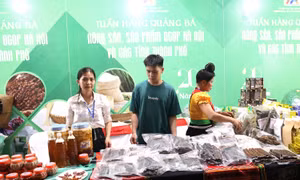 Tuần hàng Quảng bá nông sản, sản phẩm OCOP Hà Nội: Du khách hào hứng với đặc sản vùng miền 
