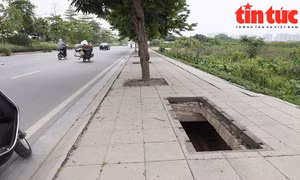 Hà Nội: Hàng loạt hố cáp quang mất nắp 'giăng bẫy' người đi đường
