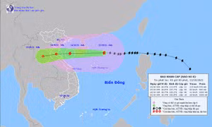 Thời tiết ngày 13/10: Bão số 8 gây mưa rất to từ Thanh Hóa đến Quảng Bình