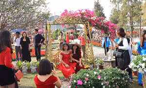 Nghỉ Tết Dương lịch 2021, người dân thích thú 'check in' Lễ hội hoa Xuân Quan
