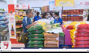 Nỗ lực bình ổn giá gạo trong nước