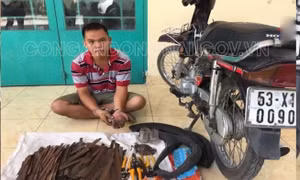 Bắt đối tượng rải đinh bẫy người trên quốc lộ
