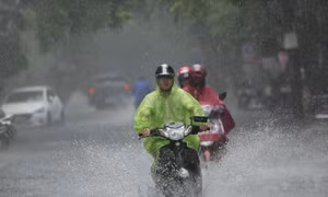 Đêm 7 và ngày 8/9, vùng núi Bắc Bộ có mưa to đến rất to, đề phòng lốc, sét và gió giật mạnh