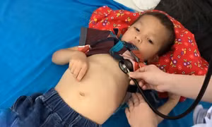 Bốn trẻ nhỏ tại Tuyên Quang bị ngộ độc do ăn thịt cóc